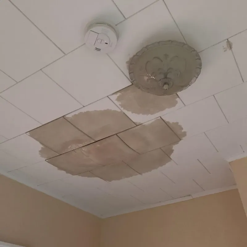 Ceiling Water Damage Repair in Triangle, VA