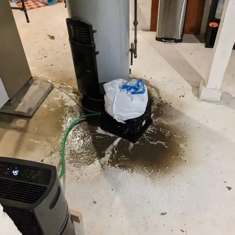 Sewage Backup Cleanup Service in Triangle, VA